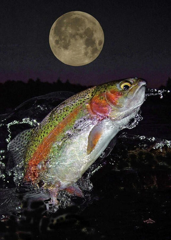fishing